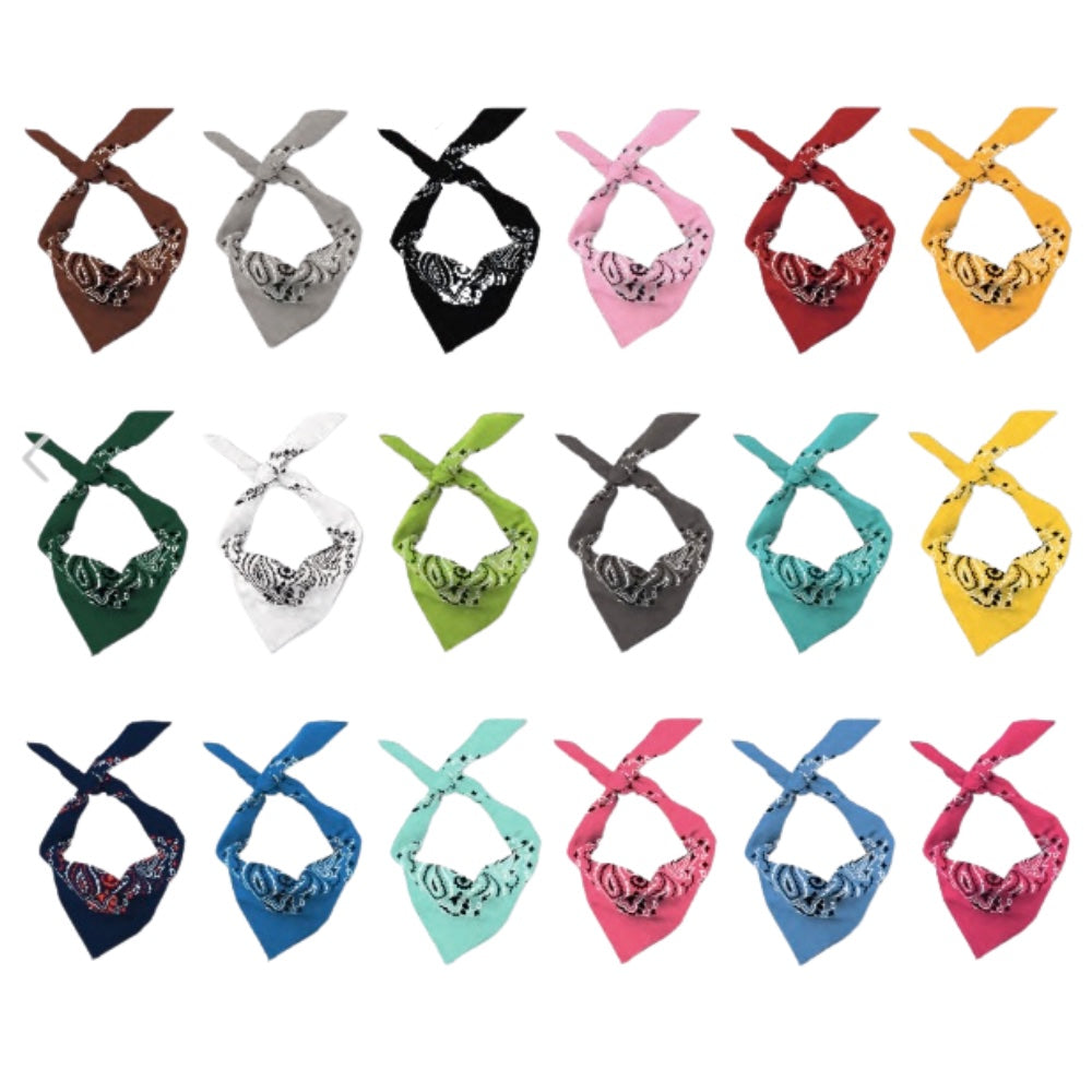 Paisley Bandana Triangle Head Scarf Headband